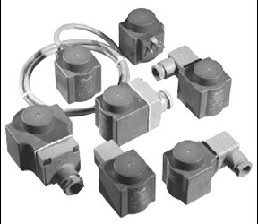 דף נתונים (הגדל)