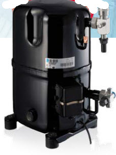 דף נתונים (הגדל)