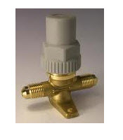 דף נתונים (הגדל)