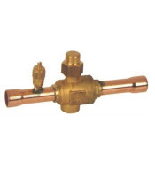 דף נתונים (הגדל)