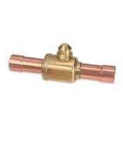 דף נתונים (הגדל)