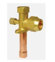 דף נתונים (הגדל)