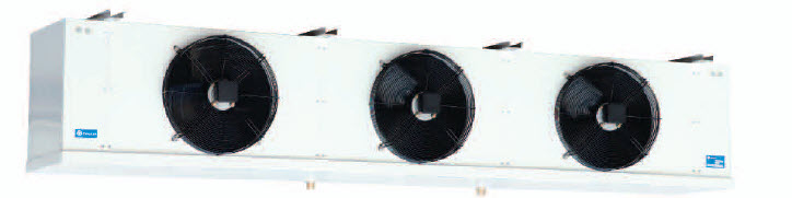 דף נתונים (הגדל)