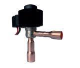 דף נתונים (הגדל)