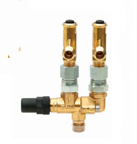 דף נתונים (הגדל)