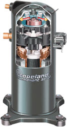 דף נתונים (הגדל)