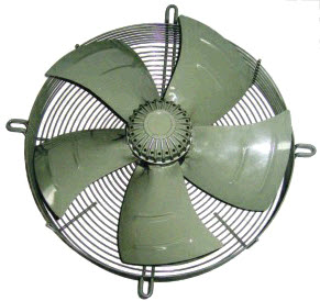 דף נתונים (הגדל)