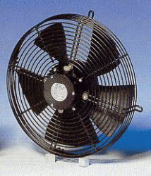 דף נתונים (הגדל)