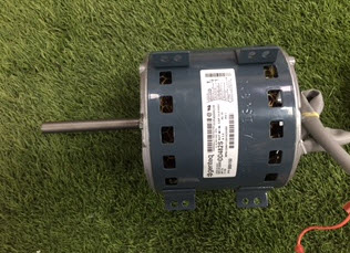 דף נתונים (הגדל)