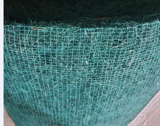 דף נתונים (הגדל)